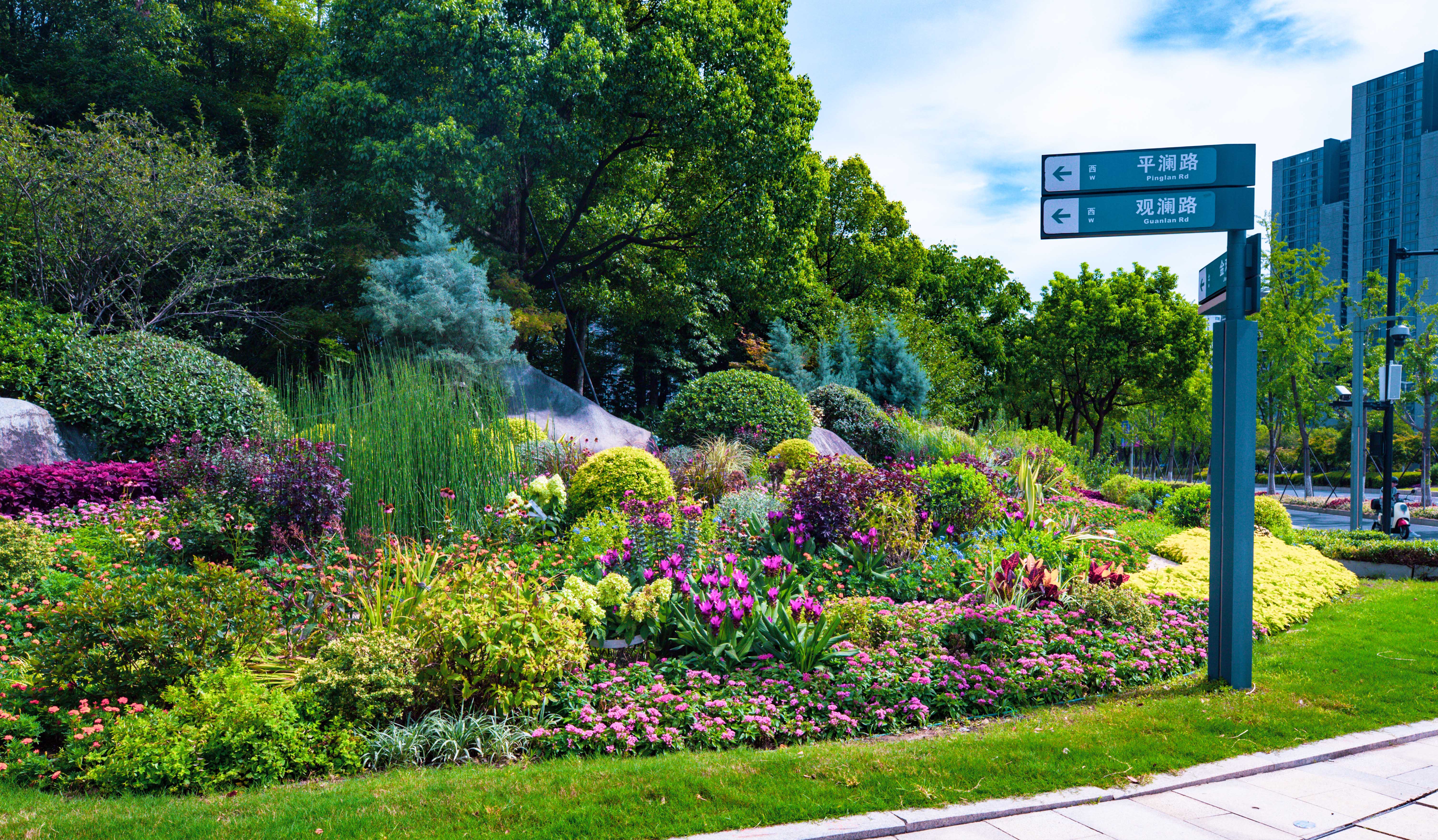 亞運(yùn)工程巡禮（2）——錢江世紀(jì)城亞運(yùn)場館周邊道路及節(jié)點綠化